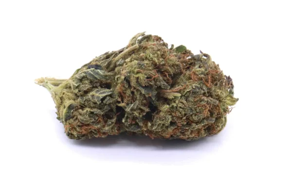 Black Cherry Soda Hybrid Weed
