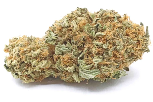Gary Payton Hybrid Flower AU