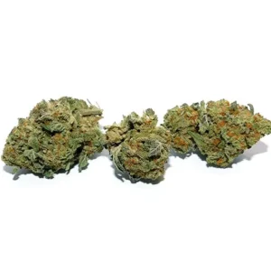 Gushers Marijuana Strain – Indica Hybrid