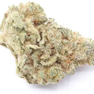 Lemon Haze Sativa Hybrid Buds Online