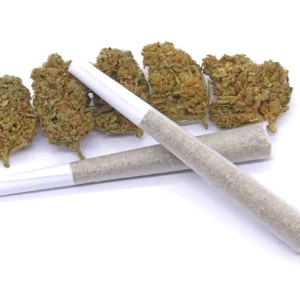 Space Queen Hybrid Pre-Rolls – AAA Quality 1g