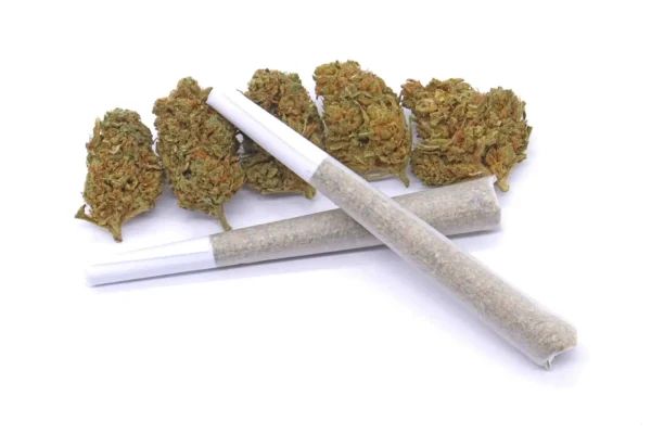Space Queen Hybrid Pre-Rolls – AAA Quality 1g