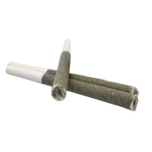 Buy Garlic Cookies Bubble Hash Pre-Rolls