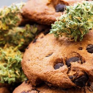 Snickerdoodle Weed Cookie Bites Edible
