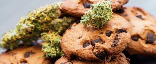 Snickerdoodle Weed Cookie Bites Edible
